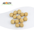 AGOLYN Top quality Chinese Xinjiang Walnut In Shell